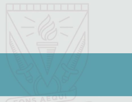 Cover of the Practical Income Tax - The Professional's Guide publication